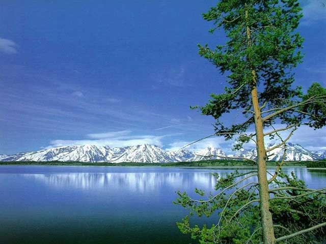 Nature4